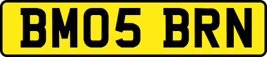 BM05BRN