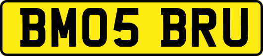 BM05BRU