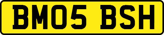 BM05BSH