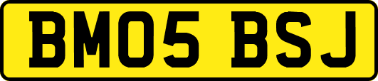 BM05BSJ