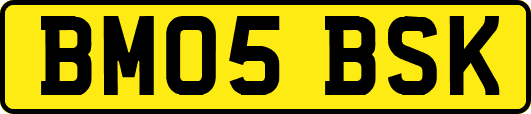 BM05BSK