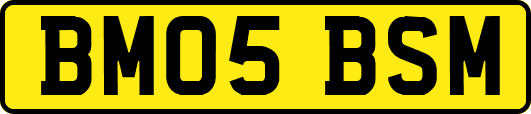 BM05BSM