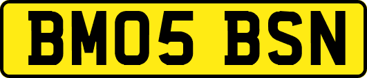 BM05BSN