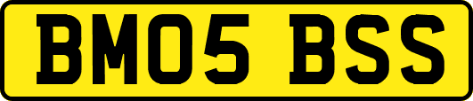 BM05BSS