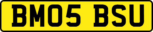 BM05BSU