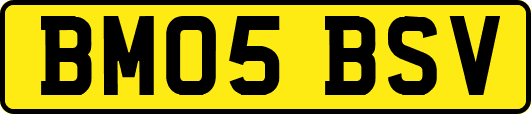 BM05BSV