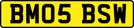 BM05BSW
