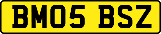 BM05BSZ