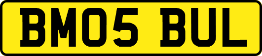 BM05BUL