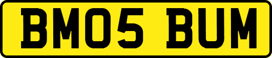 BM05BUM