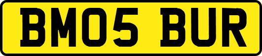 BM05BUR