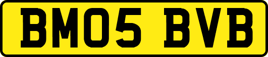 BM05BVB