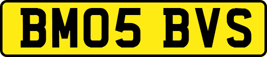 BM05BVS