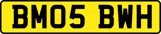 BM05BWH