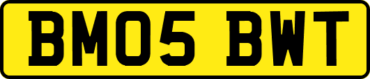 BM05BWT