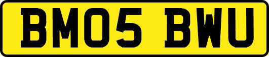 BM05BWU