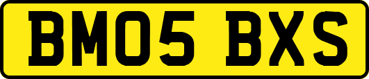 BM05BXS