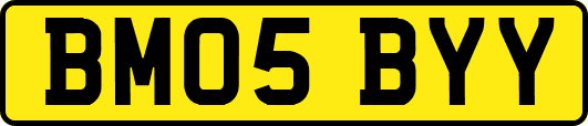 BM05BYY