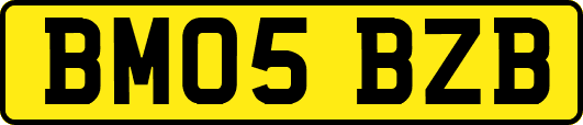 BM05BZB