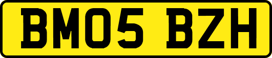 BM05BZH