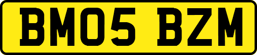 BM05BZM