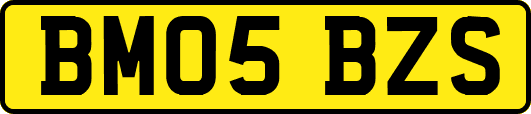 BM05BZS