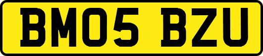 BM05BZU