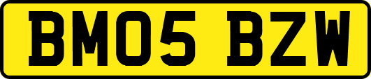 BM05BZW