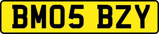 BM05BZY