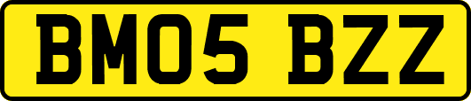 BM05BZZ