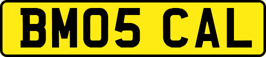 BM05CAL
