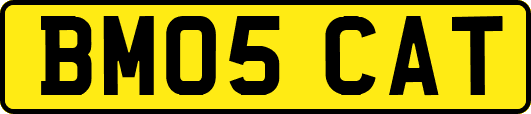 BM05CAT