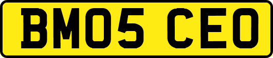BM05CEO