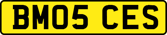 BM05CES