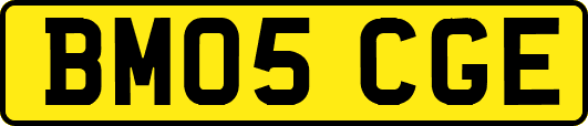 BM05CGE