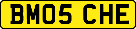 BM05CHE