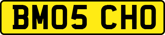 BM05CHO