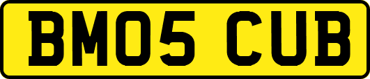BM05CUB