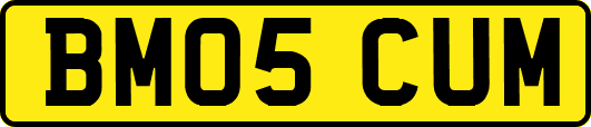 BM05CUM