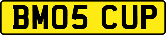 BM05CUP