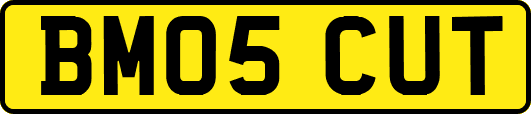 BM05CUT