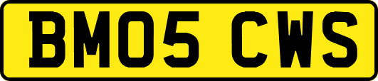 BM05CWS