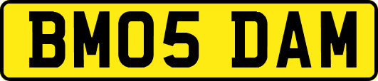 BM05DAM