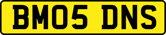BM05DNS