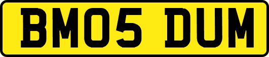BM05DUM