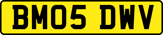 BM05DWV