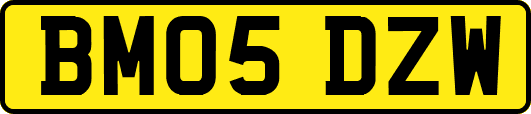 BM05DZW