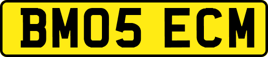 BM05ECM