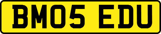 BM05EDU