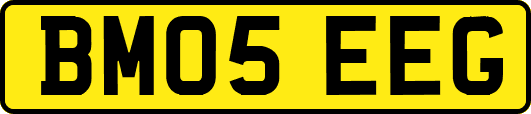 BM05EEG